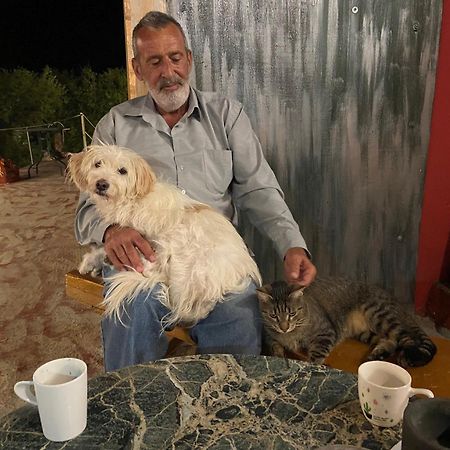 Art Studio Kefalonia Δαυγάτα Εξωτερικό φωτογραφία