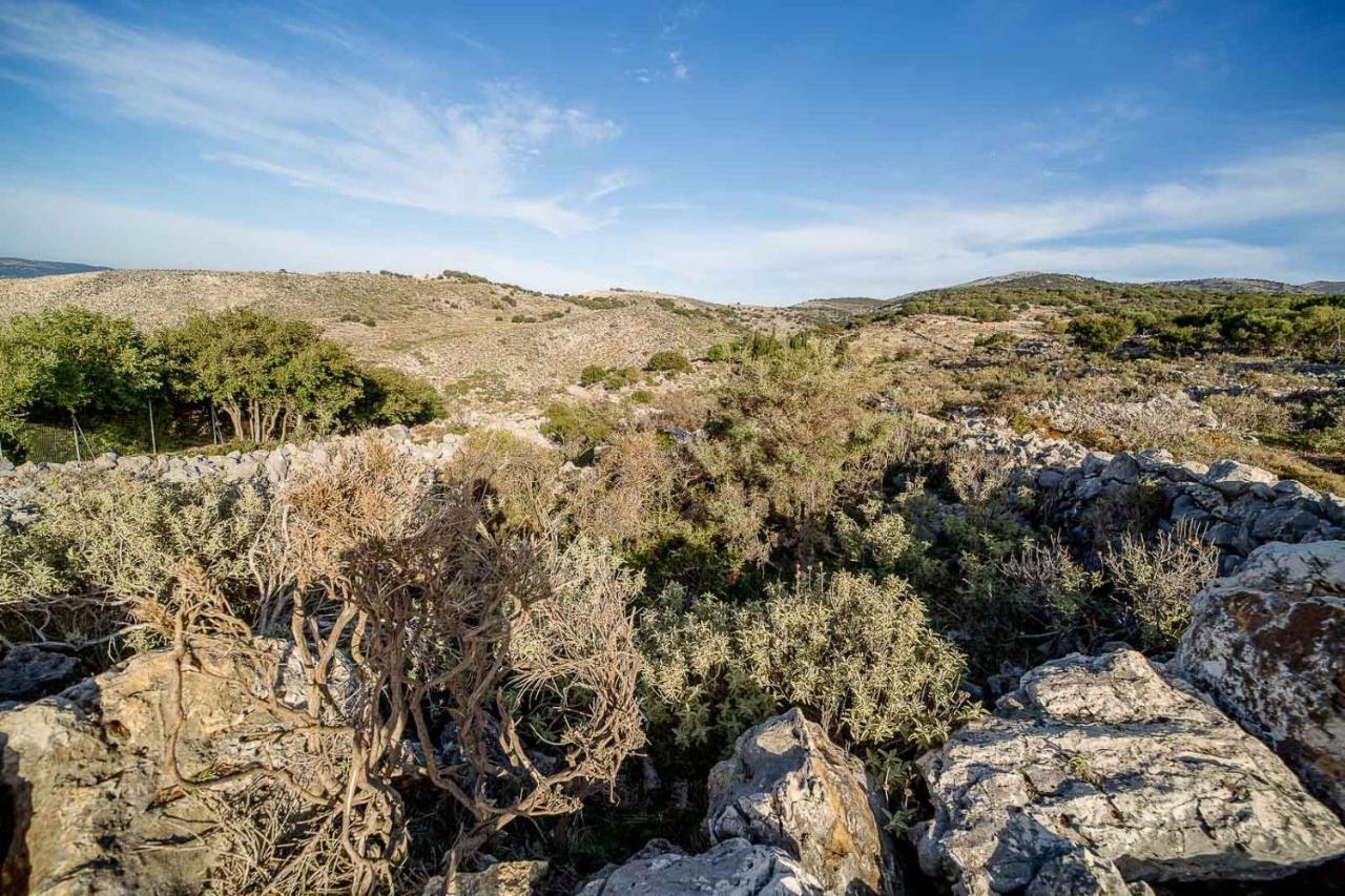 Art Studio Kefalonia Δαυγάτα Εξωτερικό φωτογραφία