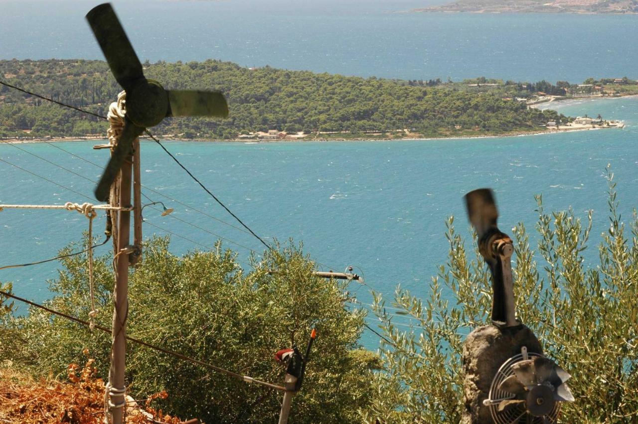 Art Studio Kefalonia Δαυγάτα Εξωτερικό φωτογραφία